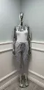 8305.webp