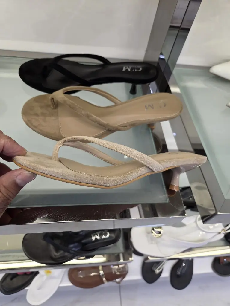 [SH5734] SH5734 (Camel)