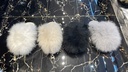 SH6033
